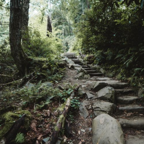 Therapy resources for growth and healing